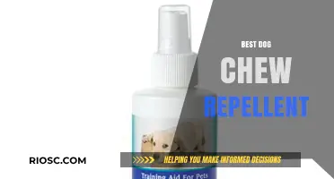 Effective Dog Chew Repellent Solutions: Protect Your Belongings and Train Your Pet Safely