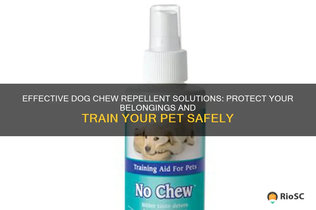 best dog chew repellent