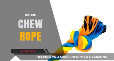 Top-Rated Dog Chew Ropes: Durable, Safe, and Fun Options for Your Pup