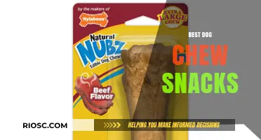 Top-Rated Dog Chew Snacks: Healthy and Delicious Treats Your Pup Will Love