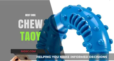 Top-Rated Dog Chew Toys: Durable, Safe, and Entertaining Options for Your Pup