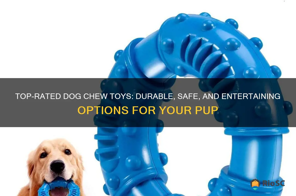best dog chew taoy