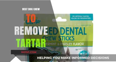 Effective Tartar Control: Top Dog Chews for Cleaner Teeth and Fresher Breath