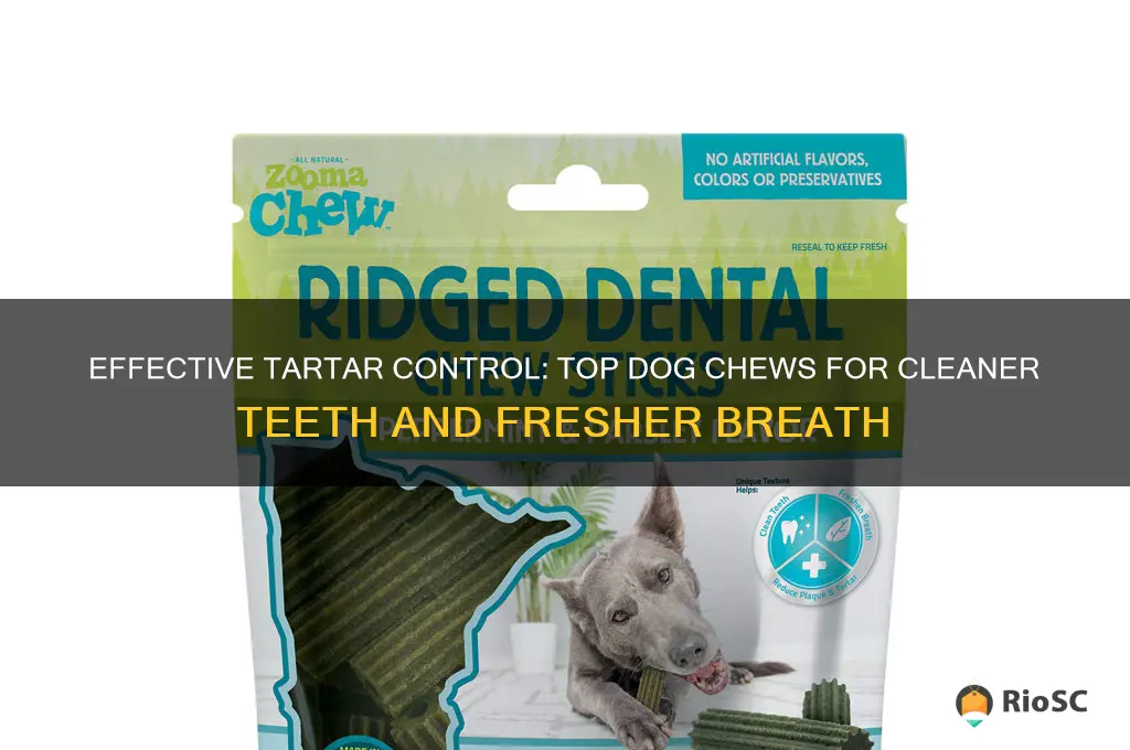 best dog chew to remove tartar