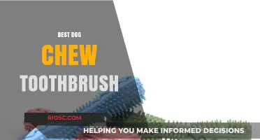 Top Dog Chew Toothbrush Options for Fresh Breath and Healthy Teeth