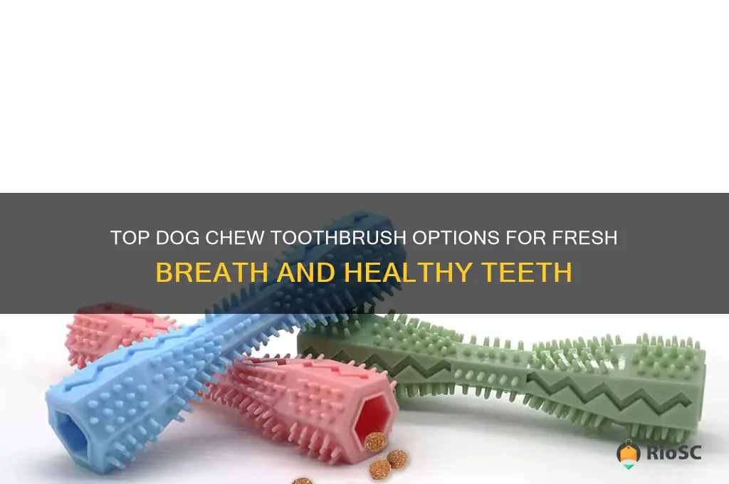 best dog chew toothbrush