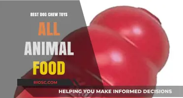 Top Picks for Your Furry Friend: Best Dog Chew Toys and All-Natural Animal Food Options