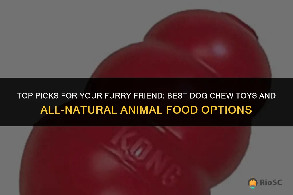 best dog chew toys all animal food