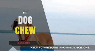Top-Rated Dog Chews: Safe and Durable Options for Happy, Healthy Pups