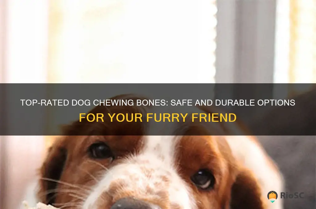 best dog chewing bones