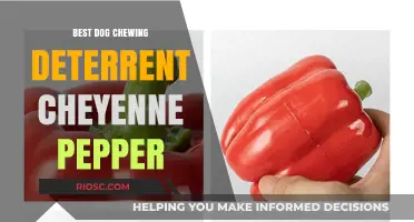 Cheyenne Pepper: The Ultimate Dog Chewing Deterrent to Protect Your Belongings
