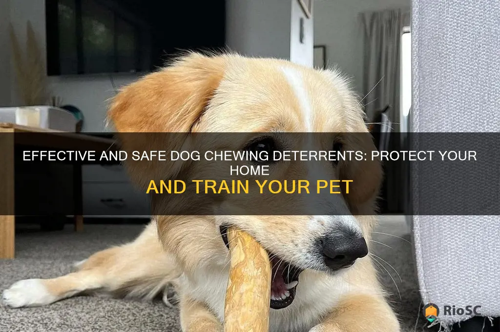 best dog chewing deturent