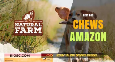 Top-Rated Dog Chews on Amazon: Healthy and Durable Options for Your Pup