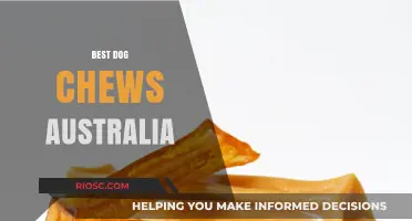 Top-Rated Dog Chews in Australia: Safe, Durable, and Delicious Options for Your Furry Friend