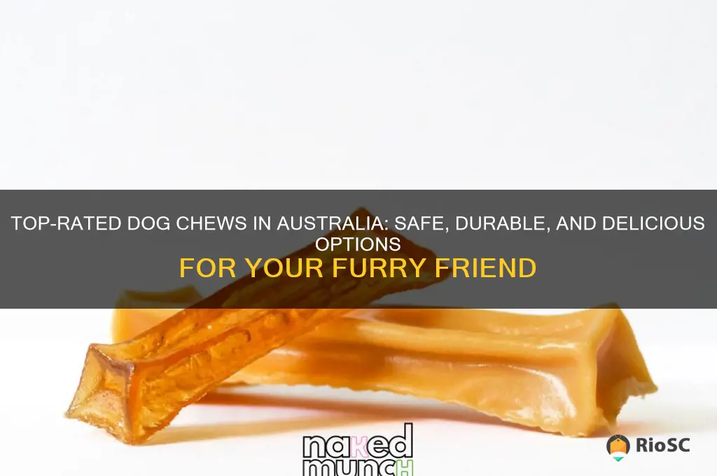 best dog chews australia