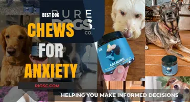 Calm Canine Companions: Top Dog Chews to Ease Anxiety and Promote Relaxation