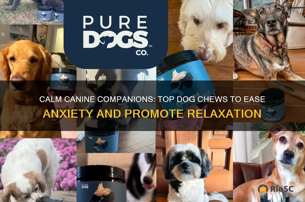 best dog chews for anxiety
