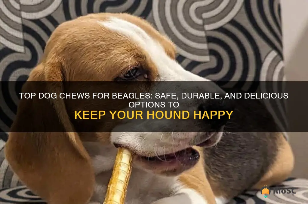best dog chews for beagles