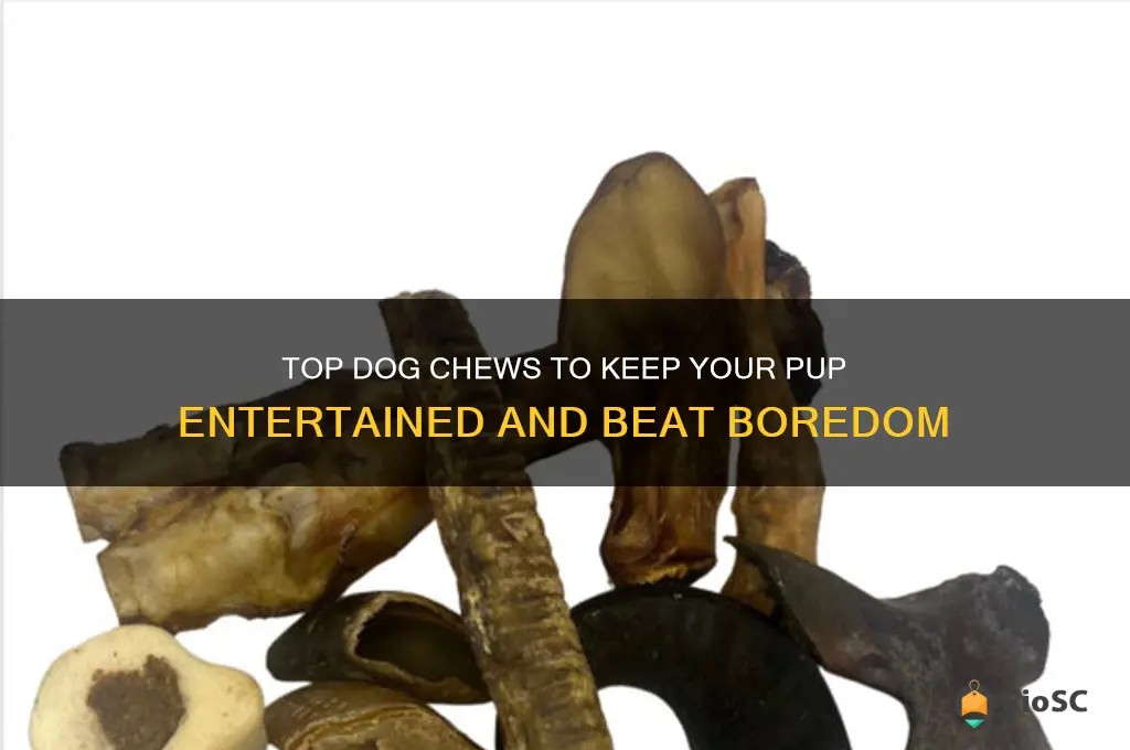 best dog chews for boredom