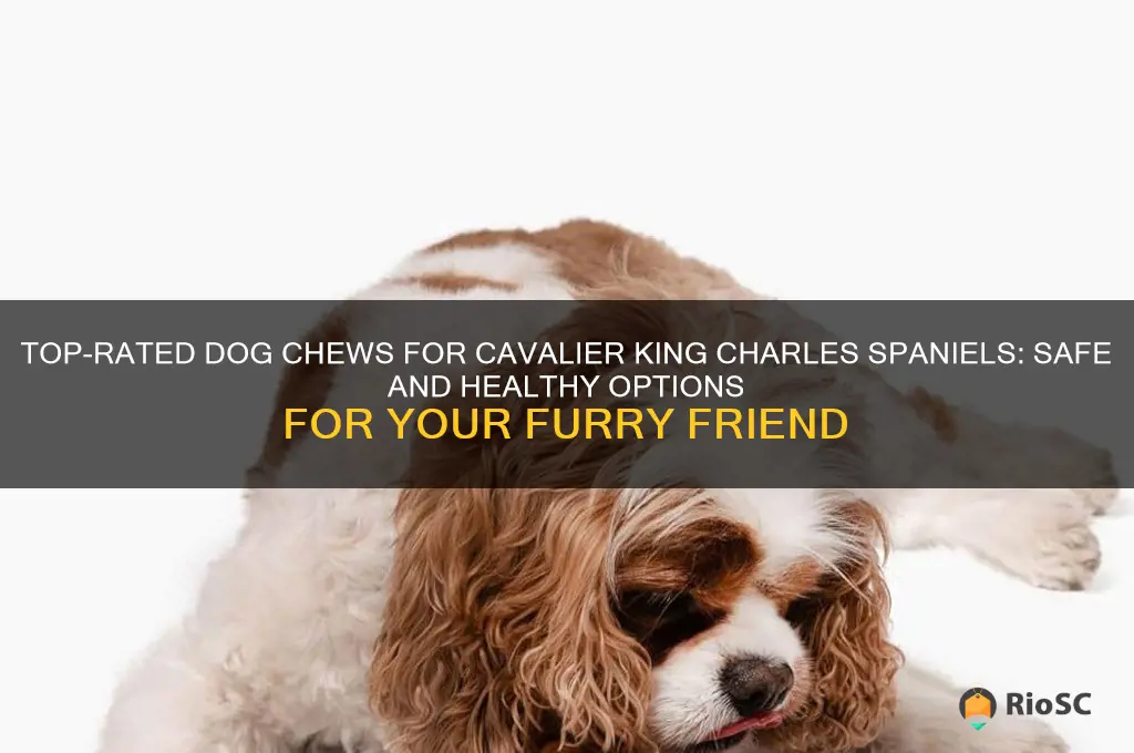 best dog chews for cavalier king charles