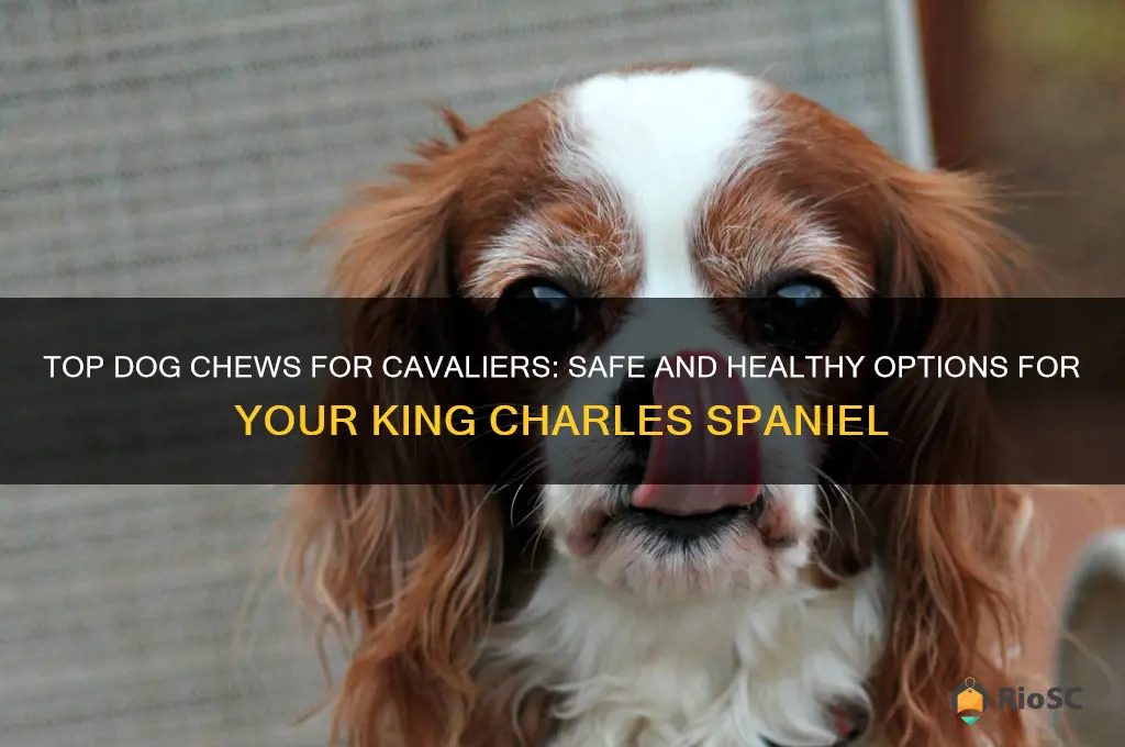 best dog chews for cavaliers