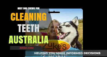 Top Dental Dog Chews for Cleaner Teeth in Australia: Healthy Treats for Your Pup's Smile