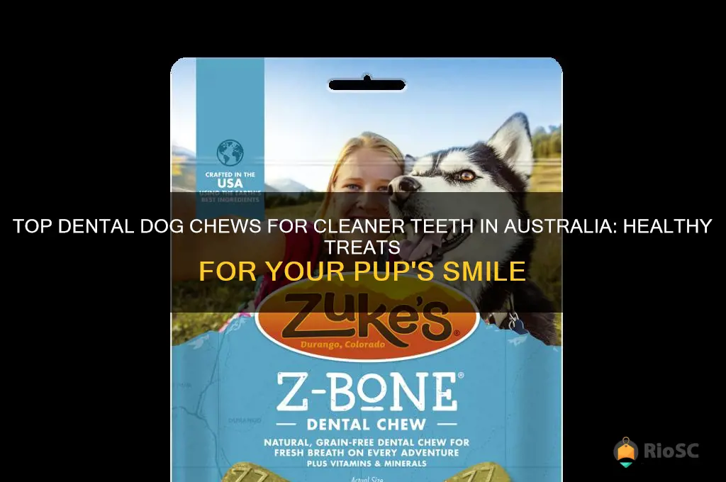 best dog chews for cleaning teeth australia