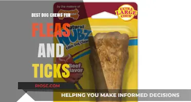 Natural Dog Chews to Repel Fleas and Ticks: Top Picks for Pet Parents