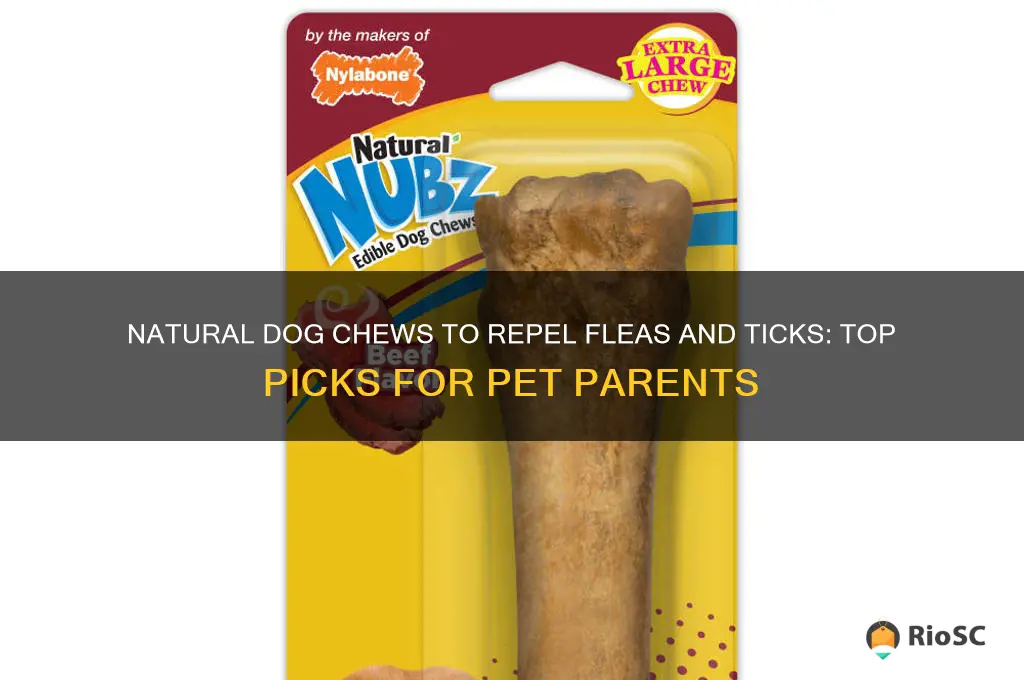 best dog chews for fleas and ticks