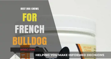 Safe and Durable Dog Chews Perfect for Your French Bulldog's Unique Needs