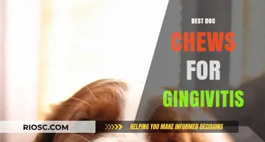 Natural Dog Chews to Combat Gingivitis: Top Picks for Healthy Gums and Fresh Breath