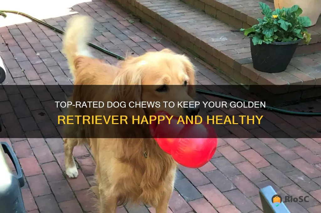 best dog chews for golden retrievers