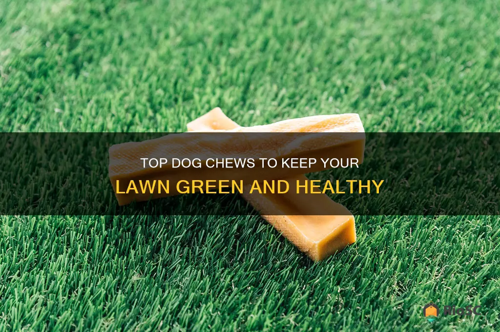 best dog chews for green grass