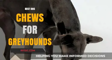 Top-Rated Dog Chews for Greyhounds: Safe and Healthy Options for Your Speedy Companion