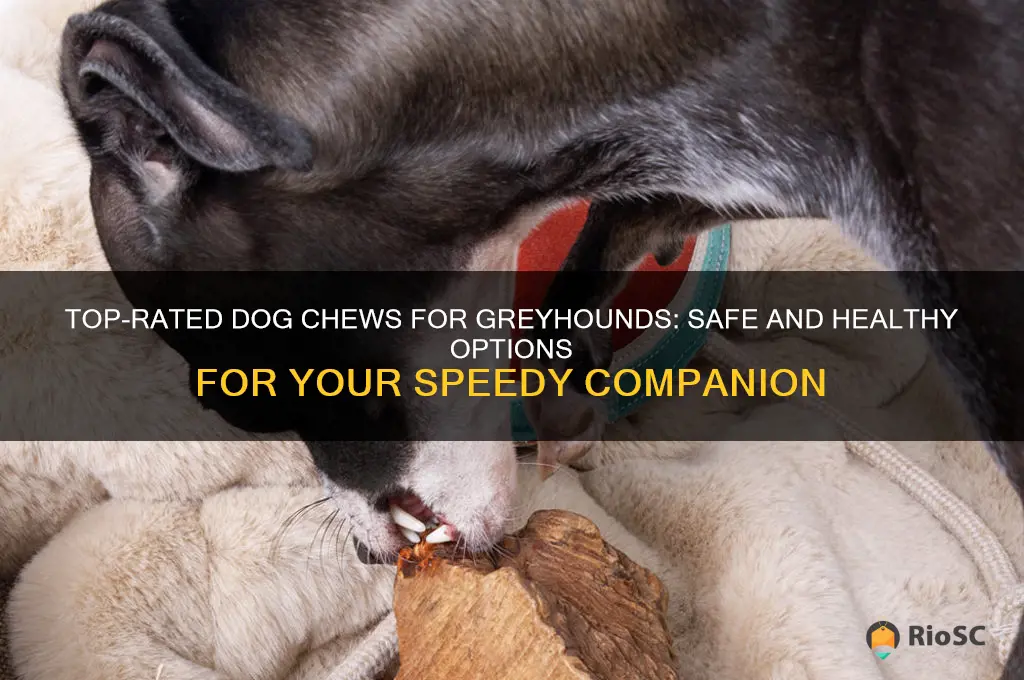best dog chews for greyhounds