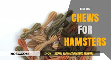 Safe and Tasty: Top Dog Chews That Are Perfect for Hamsters