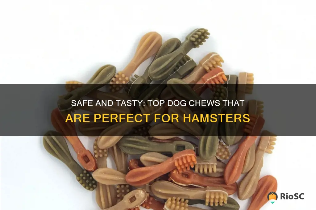best dog chews for hamsters