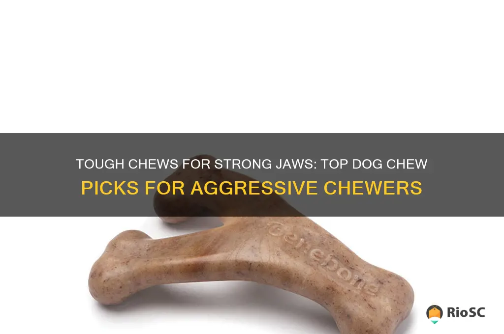 best dog chews for harder chwers