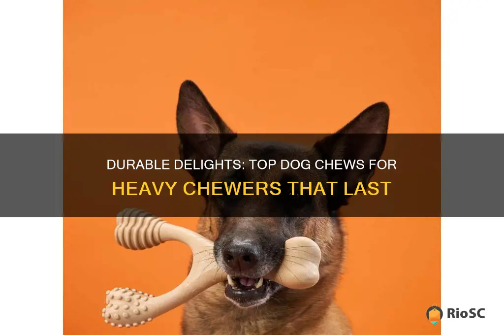 best dog chews for heavy chewers