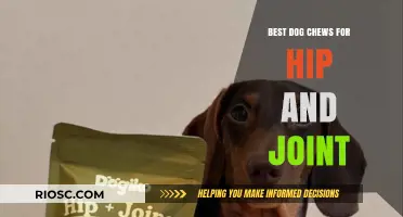 Top Dog Chews to Support Hip and Joint Health: A Guide for Pet Owners