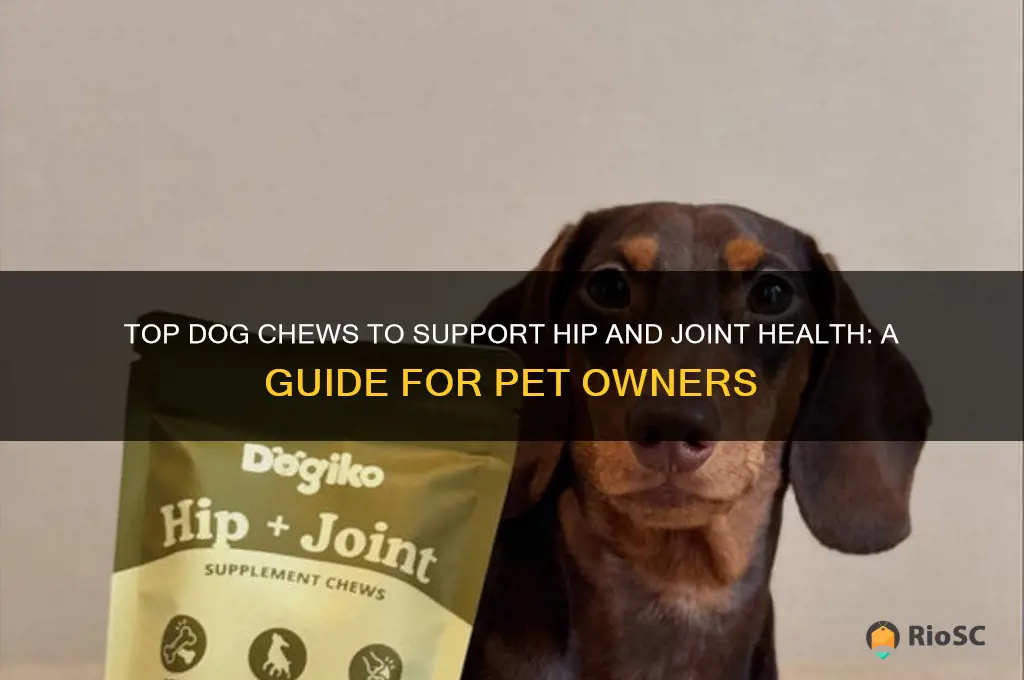 best dog chews for hip and joint