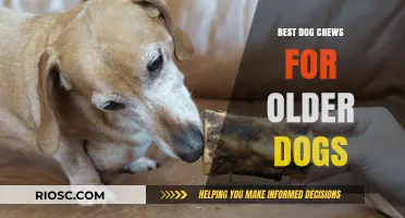 Safe and Soothing: Top Dog Chews for Senior Canines