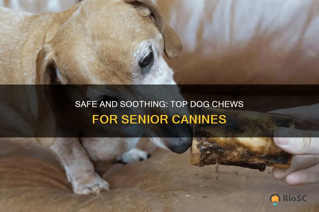 best dog chews for older dogs