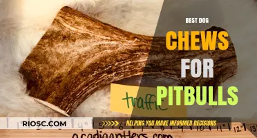 Tough and Durable: Top Dog Chews Perfect for Pitbulls