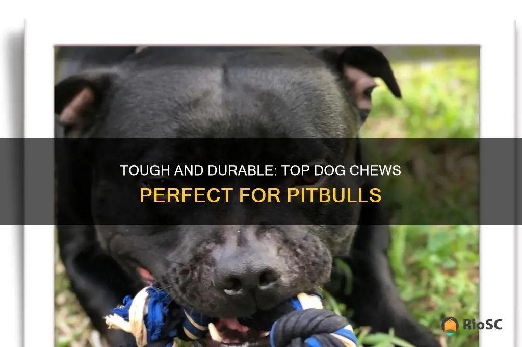 best dog chews for pitbulls