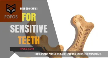 Gentle Gnaws: Top Dog Chews for Sensitive Teeth