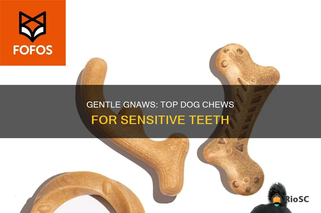 best dog chews for sensitive teeth