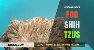 Top Dog Chews for Shih Tzus: Safe, Healthy, and Delicious Options to Keep Your Pup Happy