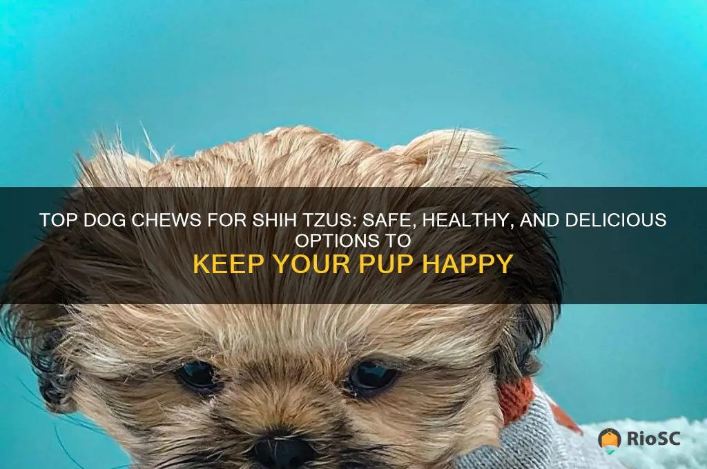 best dog chews for shih tzus