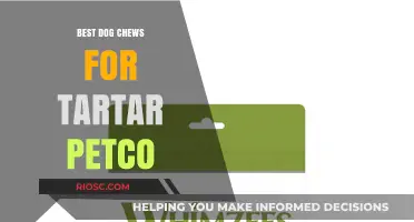 Top Tartar-Fighting Dog Chews Available at Petco: Keep Your Pup's Teeth Healthy